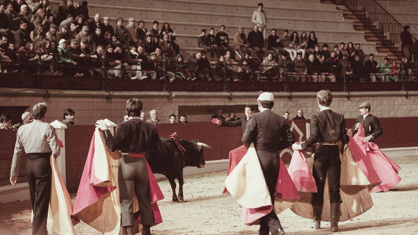 Pamplona’s bull run: How Hemingway’s ‘The Sun Also Rises' is celebrated after 100 years