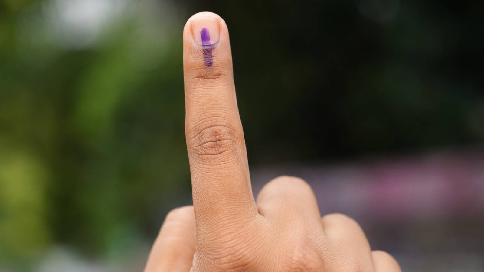 Voters' list to be updated in 38 local body wards going for bypolls in Kerala: SEC