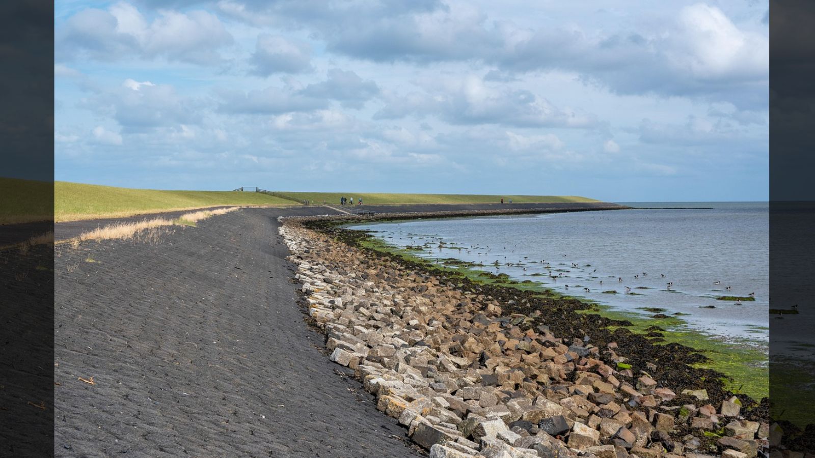 Drought weakens Dutch dikes as low Rhine levels disrupt European trade