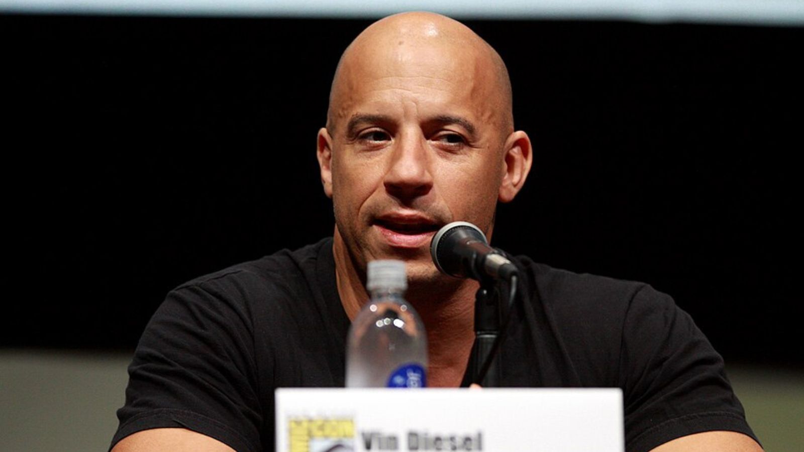 Vin Diesel calls 'Fast Forever' as the best script of the decade