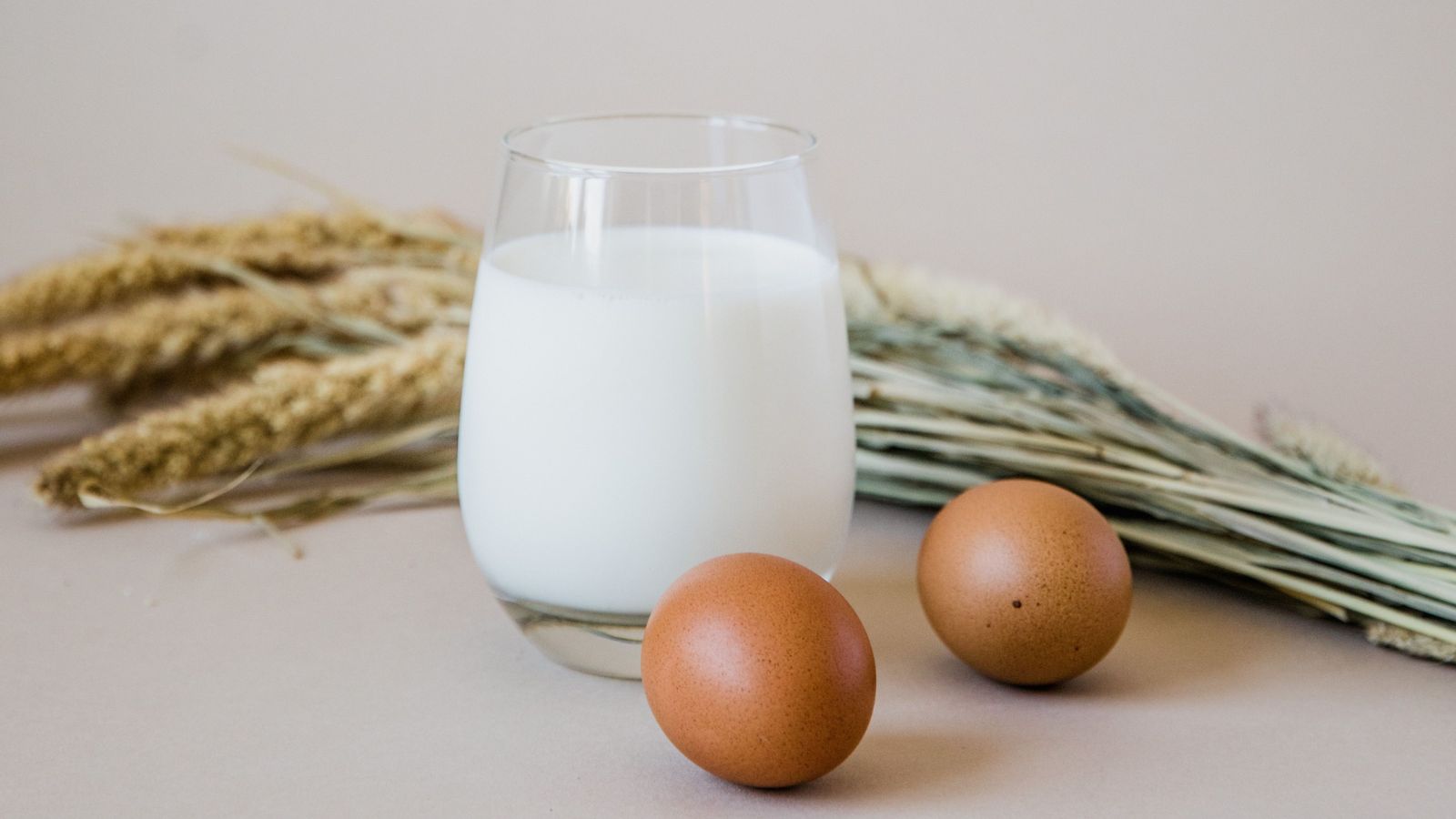 Lower protein intake may benefit sedentary adults: Study