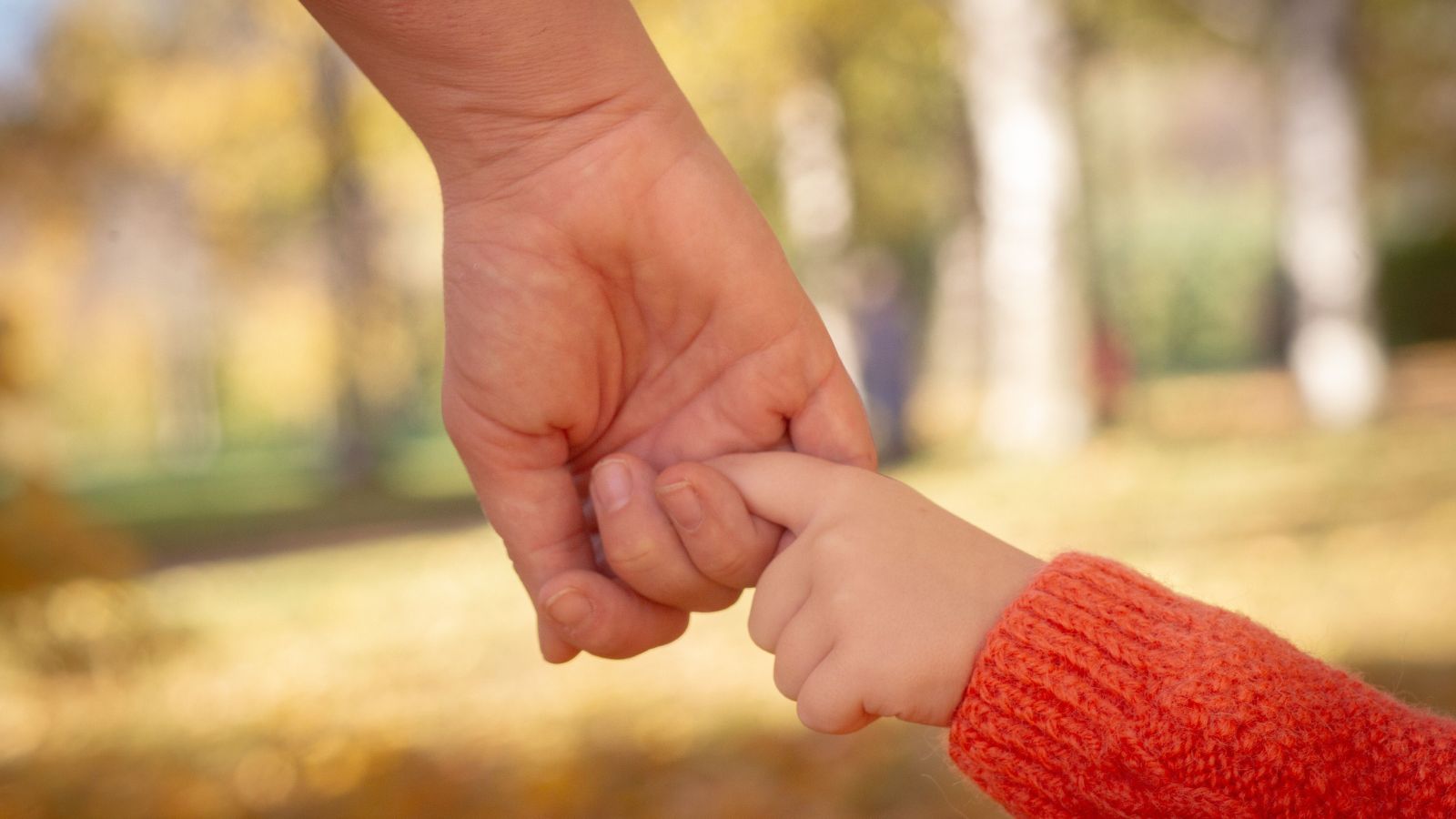 Delhi Police arrest two for online child adoption fraud