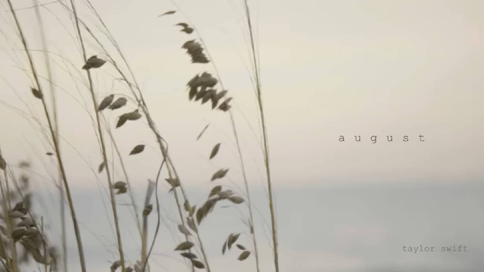 Taylor Swift's 'August' removed from Donald Trump's campaign TikTok video