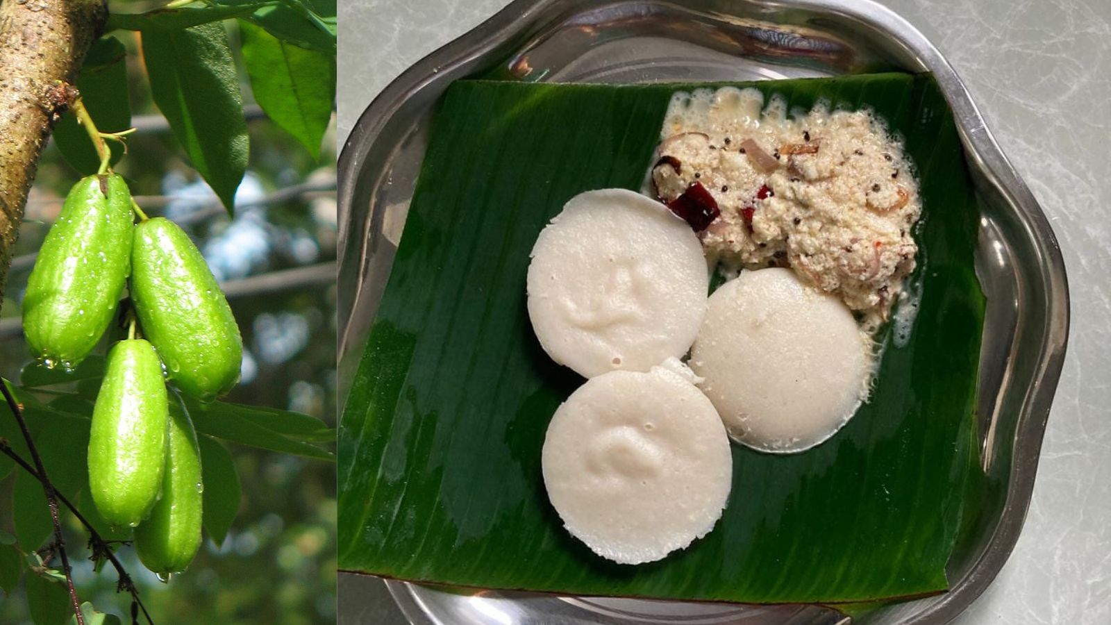Spicy coconut and bilimbi chutney