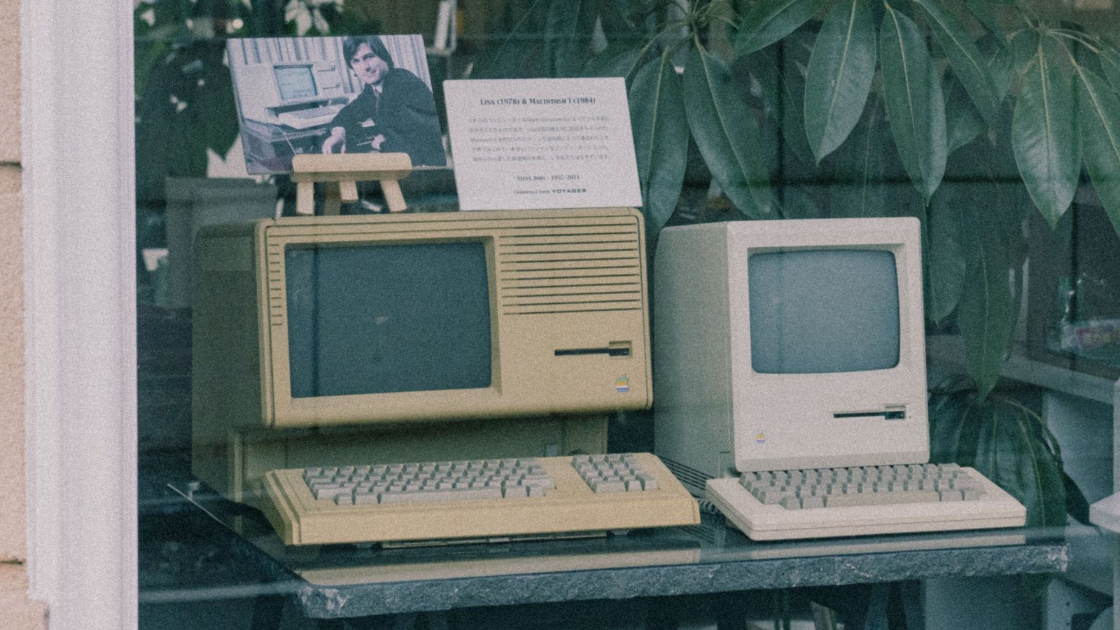 Amid AI boom, vintage computer collectors keep digital history alive