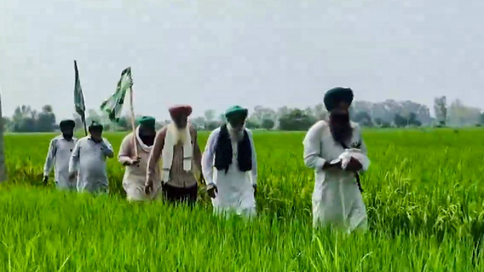 Farmers urge PM Modi to allow march to Delhi over trade deal