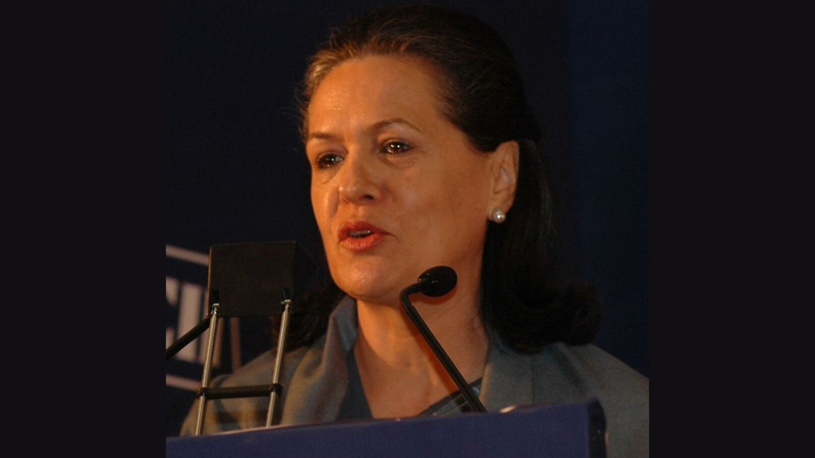 Sonia Gandhi electoral roll row: Delhi Court sets aside magistrate order refusing probe