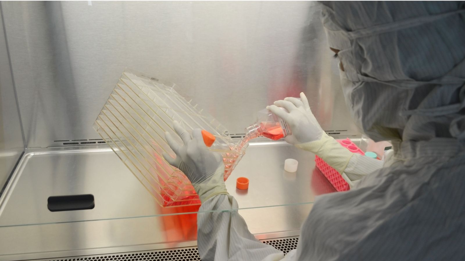 Researchers create tool to measure a cell’s biological age