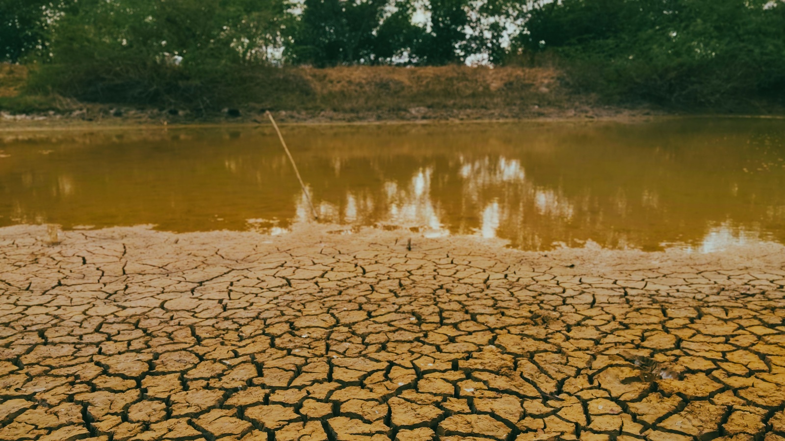 El Niño to persist through February 2027: How could India be affected?