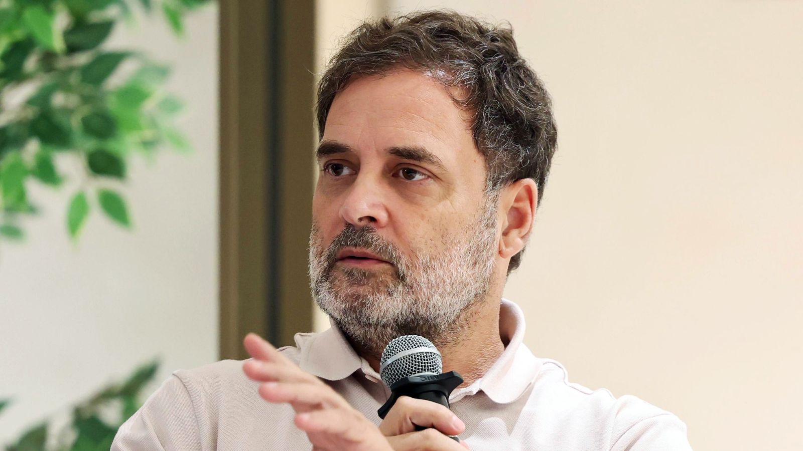 Defamation case against Rahul Gandhi: Court gives complainant final chance to argue