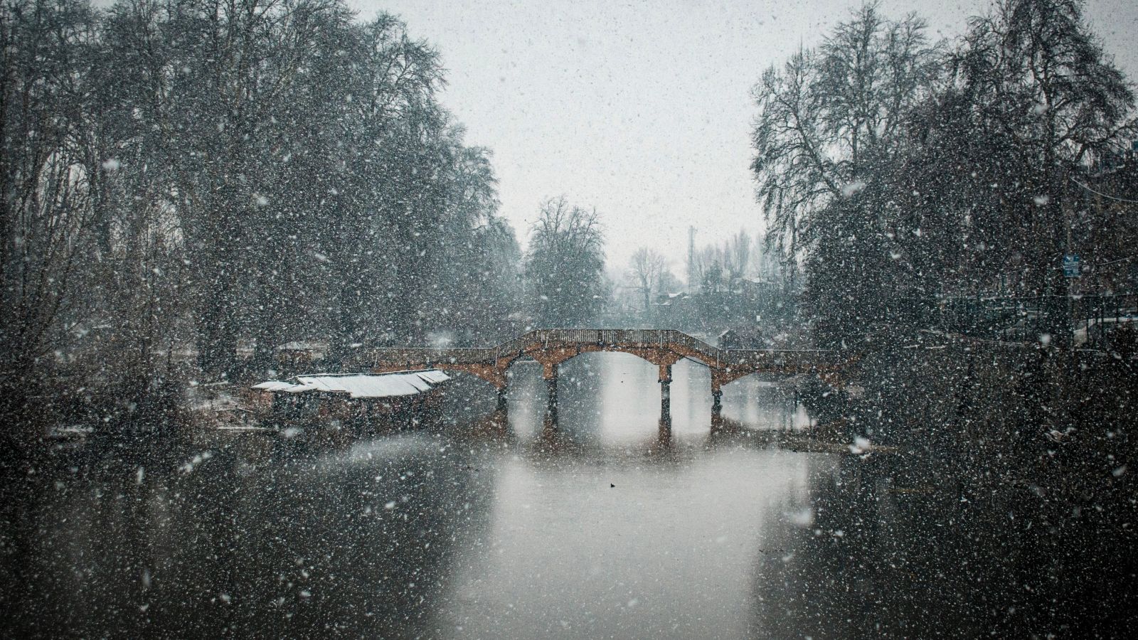 Kashmir: Season's first snowfall blankets Gulmarg, Gurez