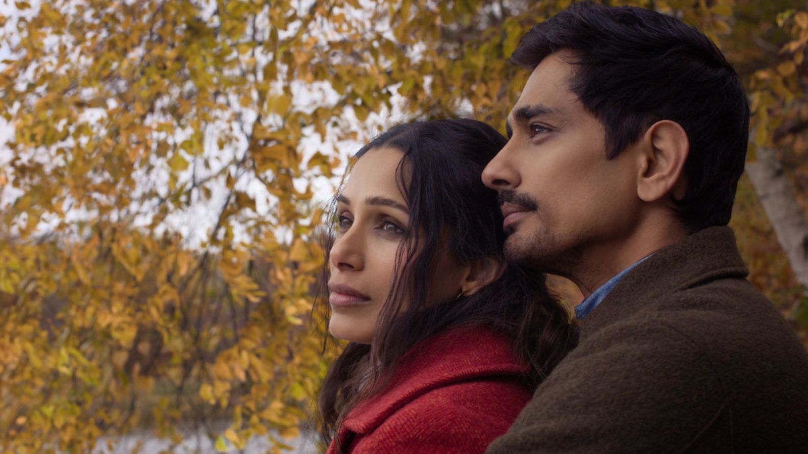 Freida Pinto, Siddharth lead Netflix's ‘Unaccustomed Earth’