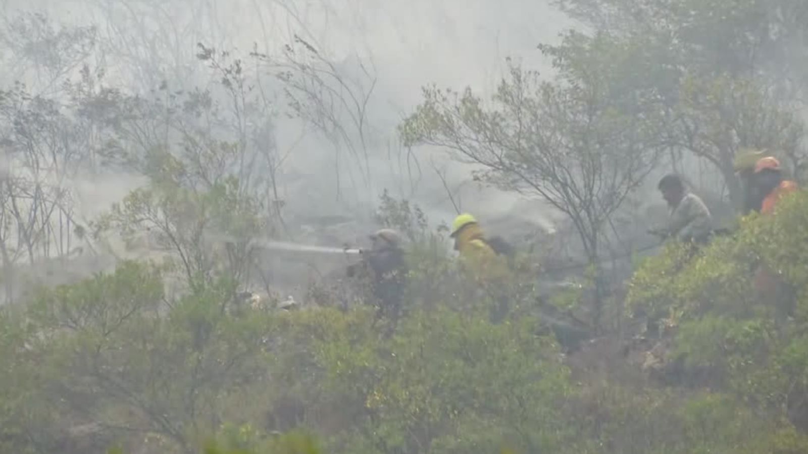 Colombia forest fire spreads into wildlife sanctuary, authorities suspect arson