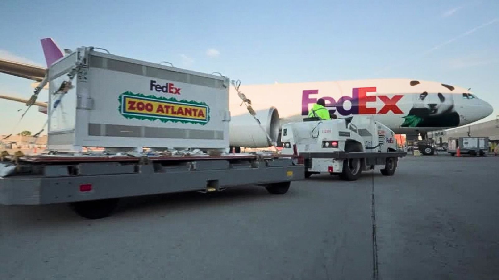 Panda diplomacy: Two giant pandas arrive in Atlanta from China