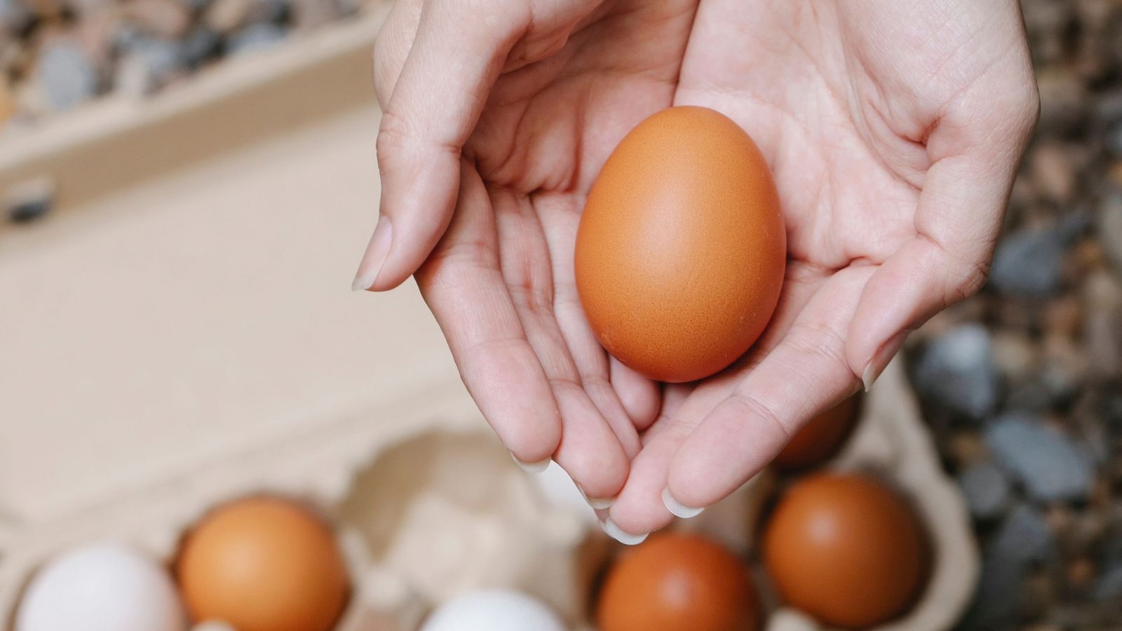 World Egg Day: Five easy recipes to try at home