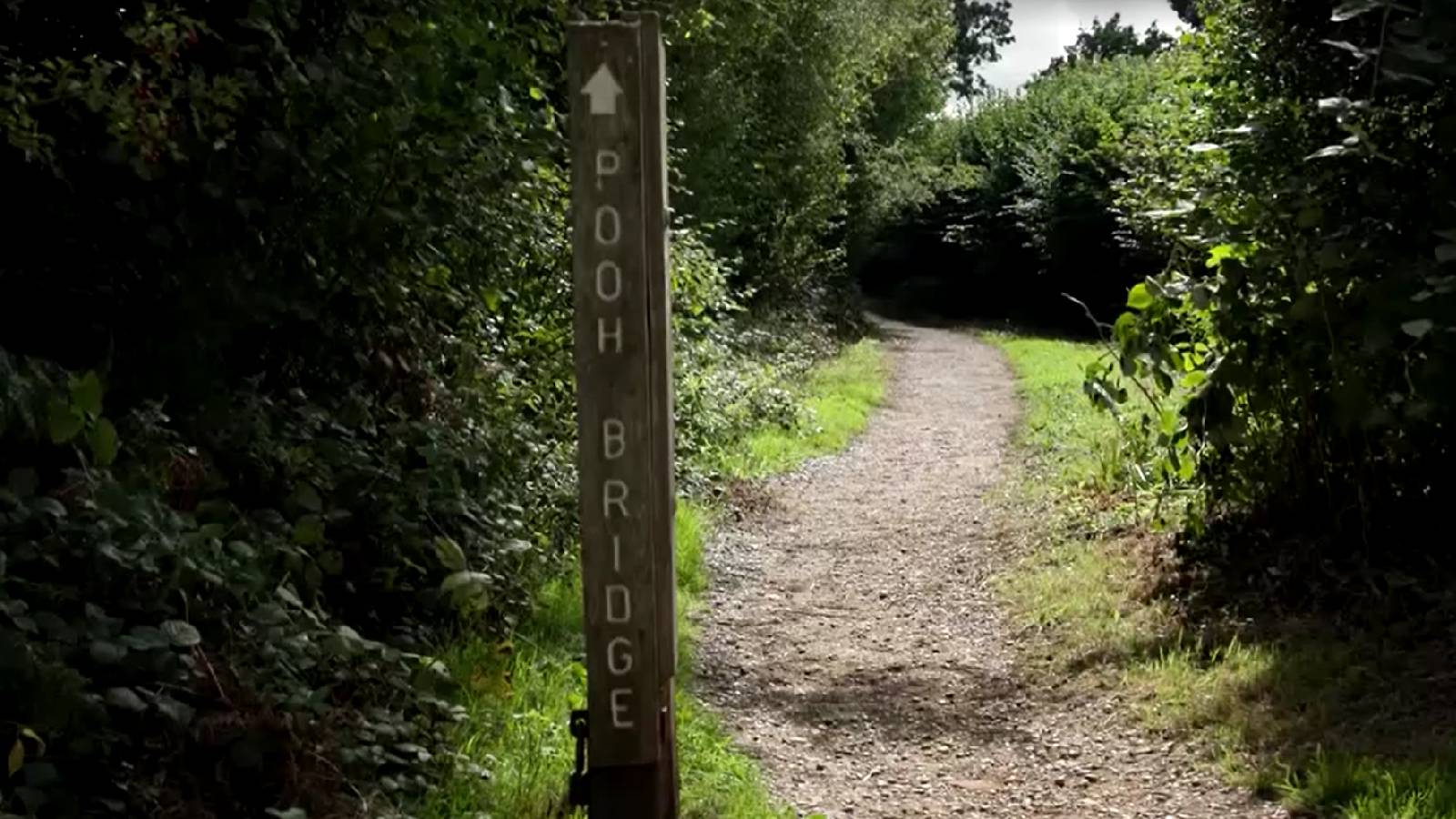 Walking through Winnie-the-Pooh’s Hundred Acre Wood, 100 years on