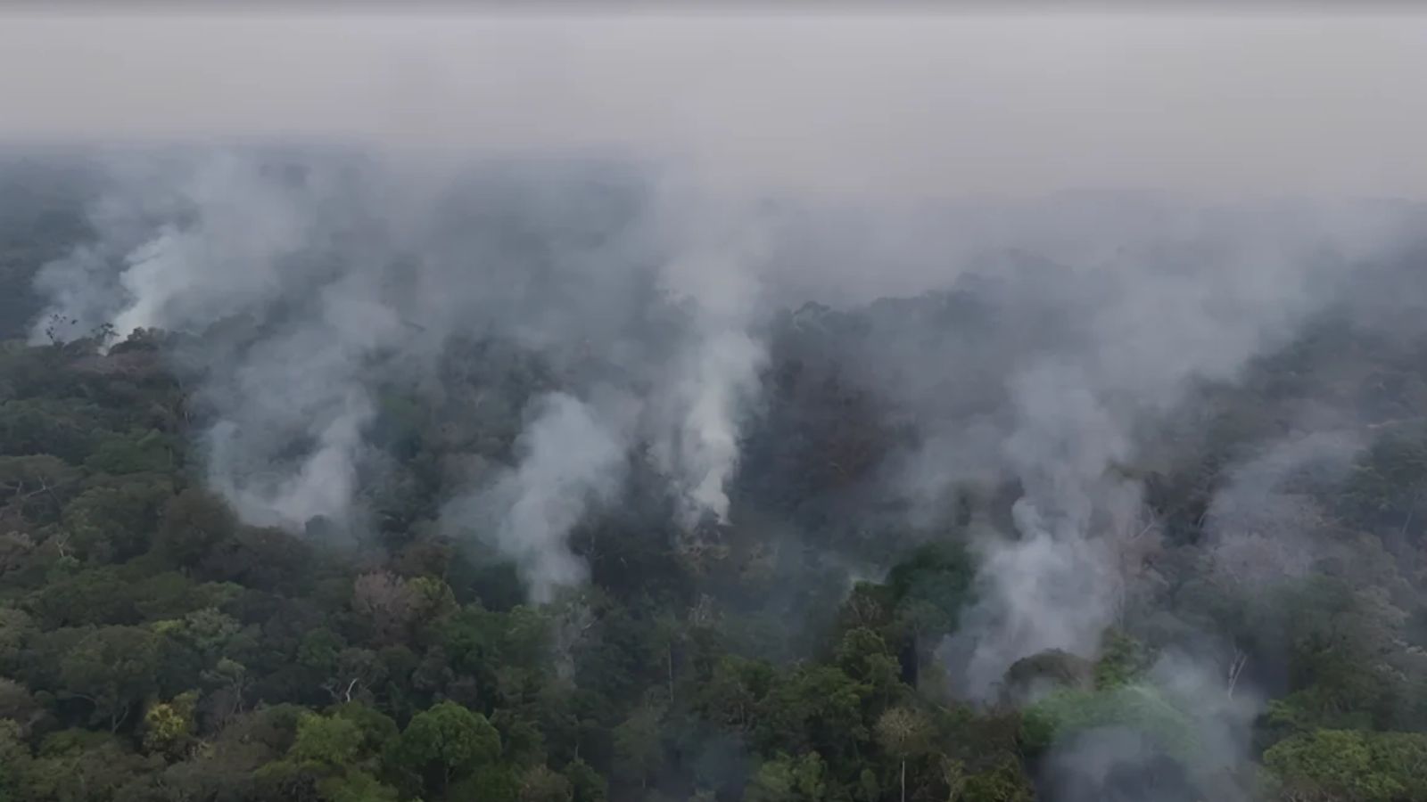 Amazon fires surge 84% in Brazil as drought and arson concerns grow