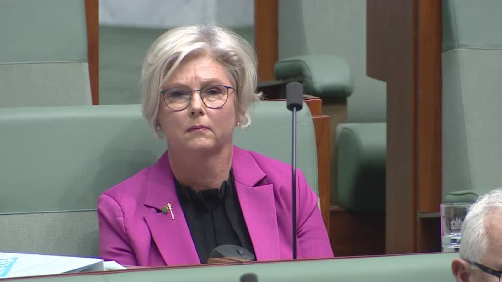 Australian lawmaker Helen Haines in critical but stable condition after being hit by car