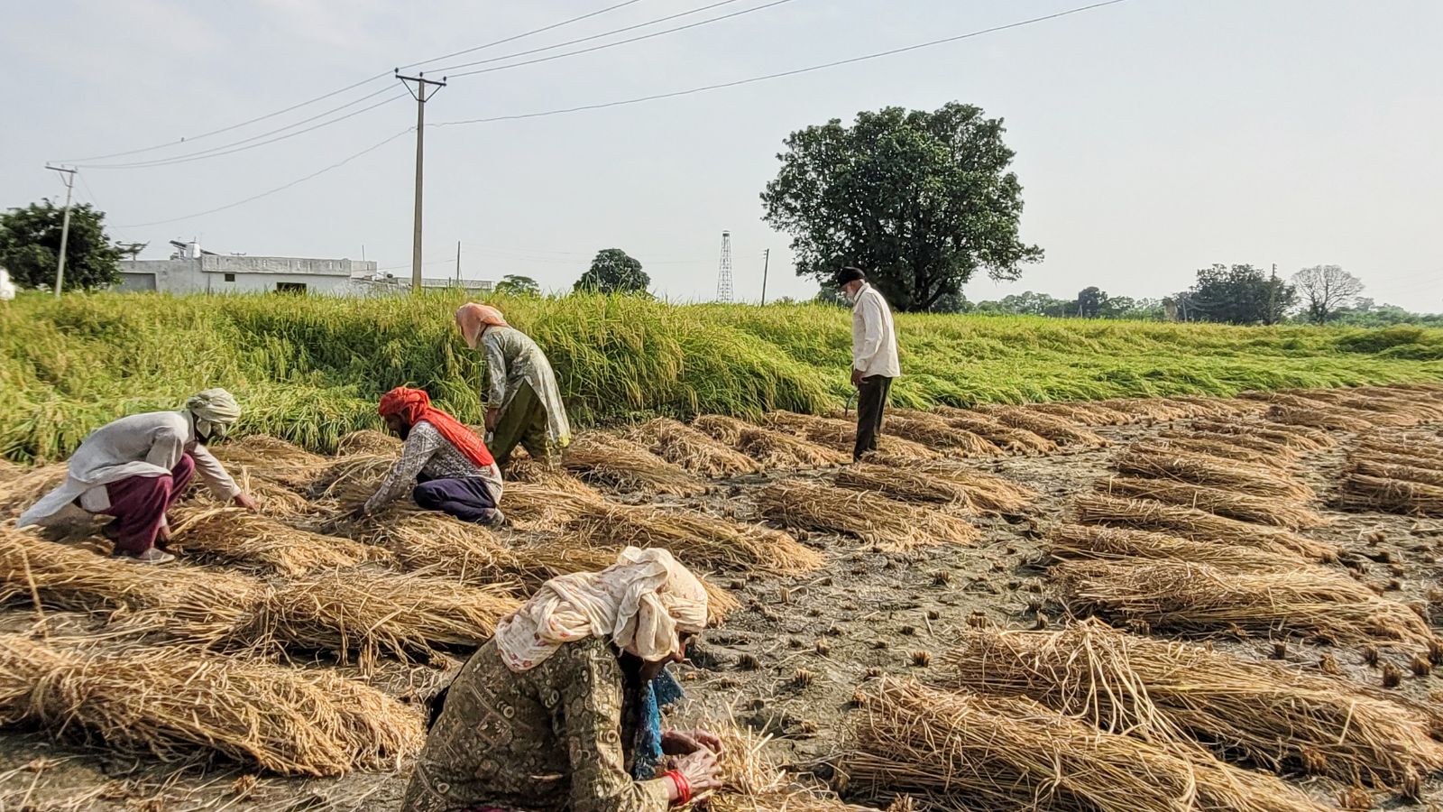 Union Minister Chouhan unveils upgraded attendance app with AI checks to protect rural workers’ wages