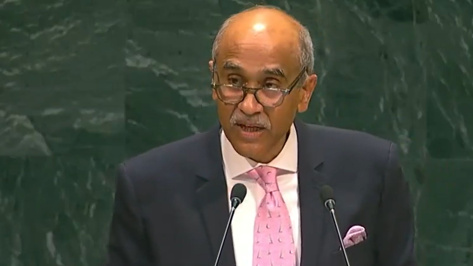India calls for UN Security Council reforms, says veto must not serve narrow political interests