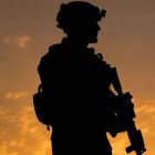 Army kills one terrorist in Jammu and Kashmir's Budgam forest, continues search for second