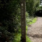 Walking through Winnie-the-Pooh’s Hundred Acre Wood, 100 years on