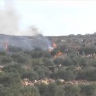 Israeli settlers attack West Bank olive harvest, injure journalist