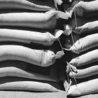 Delhi ₹28 crore rice scam: CBI uncovers irregularities in public sector firms, books eight officials