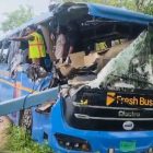 Six dead, 12 injured in Telangana bus accident