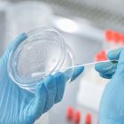 IIT Indore develops saliva-based non-invasive oral cancer screening method
