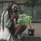 A tropical escape in the heart of London: Inside the Barbican Conservatory