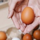 World Egg Day: Five easy recipes to try at home