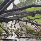Hurricane Lala leaves over 200,000 Hawaii customers without power