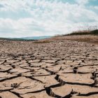 El Niño intensifying, could be one of strongest since 1950: WMO