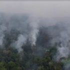 Amazon fires surge 84% in Brazil as drought and arson concerns grow