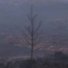 UN warns wildfires, heatwaves could undermine global air quality efforts
