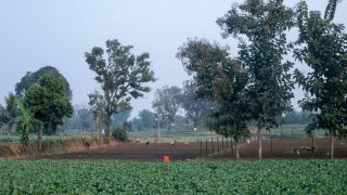 Chhattisgarh advises farmers to switch to short-duration crops amid El Niño concerns