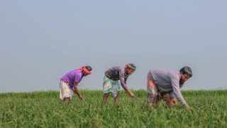 Himachal's biodiversity conservation scheme to boost ecology, enhance farmers' income