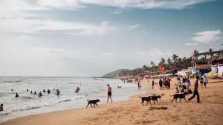 Goa tourism sees 0.08% growth in Jan-July 2026, monsoon footfall rises 2.27%