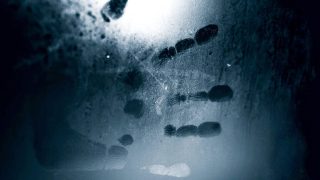 Delhi gang rape: Fingerprints of accused and minor victim found on vehicle