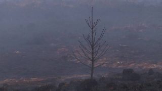 UN warns wildfires, heatwaves could undermine global air quality efforts