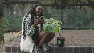 A tropical escape in the heart of London: Inside the Barbican Conservatory