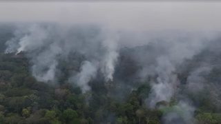 Amazon fires surge 84% in Brazil as drought and arson concerns grow