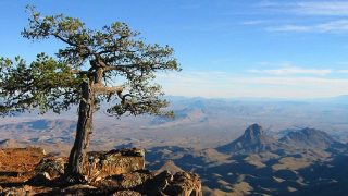 Trump administration asks Supreme Court to lift bar on Texas Big Bend border wall