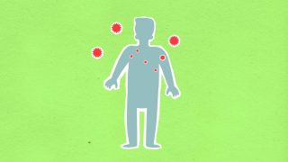 France reports first known human case of Shamonda virus