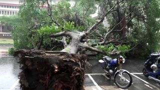 Typhoon Champi kills one in Taiwan as winds damage vehicles