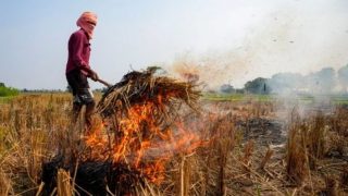 Punjab sees a sharp rise in farm fires, records 194 cases in a single day