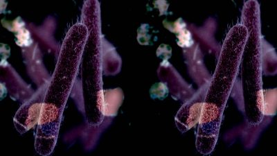 Kerala on alert as Shigella cases rise amid fresh Nipah concerns