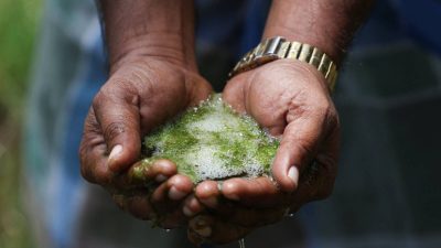 Indian officials survey farms near Tata plant after groundwater pollution claims