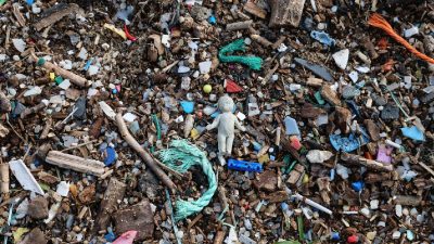 "Your garbage, everyone's waterlogging": Delhi High Court